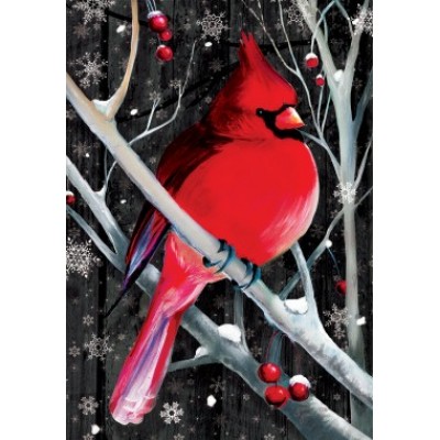 Midnight Cardinal 